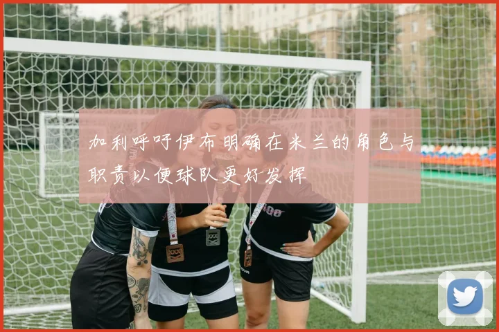 加利呼吁伊布明确在米兰的角色与职责以便球队更好发挥