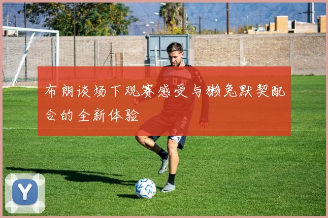 布朗谈场下观赛感受与獭兔默契配合的全新体验